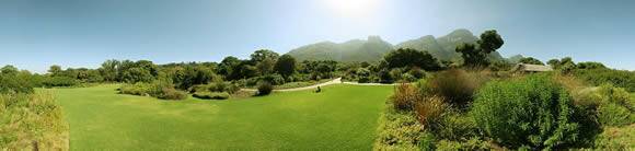 Kirstenbosch Botanical Gardens - Cape Town
