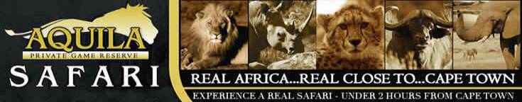 Cape Town Helicopters Tours, Helicopter Huey Rides, Charters & Cape Town Adventure Activities