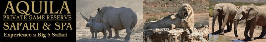 Click Here - Aquila Private Game Reserve Big 5 Safari - Malaria Free - Cape Town