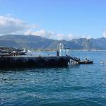 Hermanus Harbour